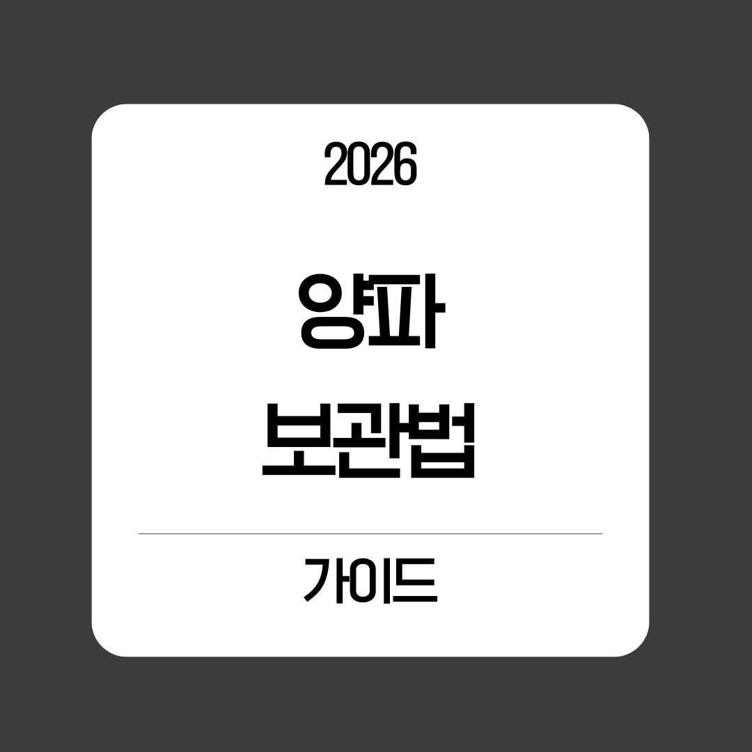 양파 보관법: 신선함을 6개월 이상 유지하는 완벽한 가이드🧅