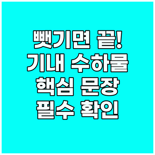 기내 수하물 규정 확인을 위한 필수 ..