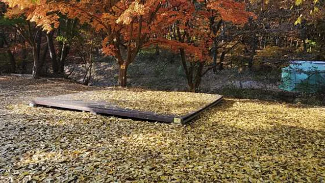 속리산숲속캠핑장