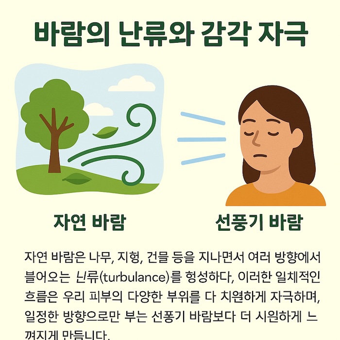 바람의 날류와 감각 자극