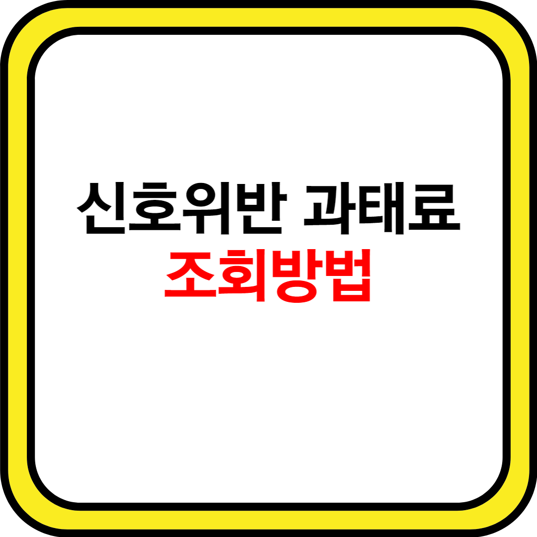 신호위반-과태료-조회