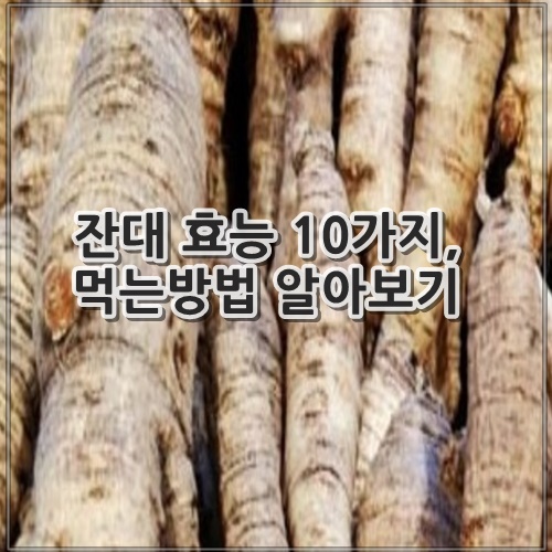 잔대 효능 10가지, 먹는방법 알아보기