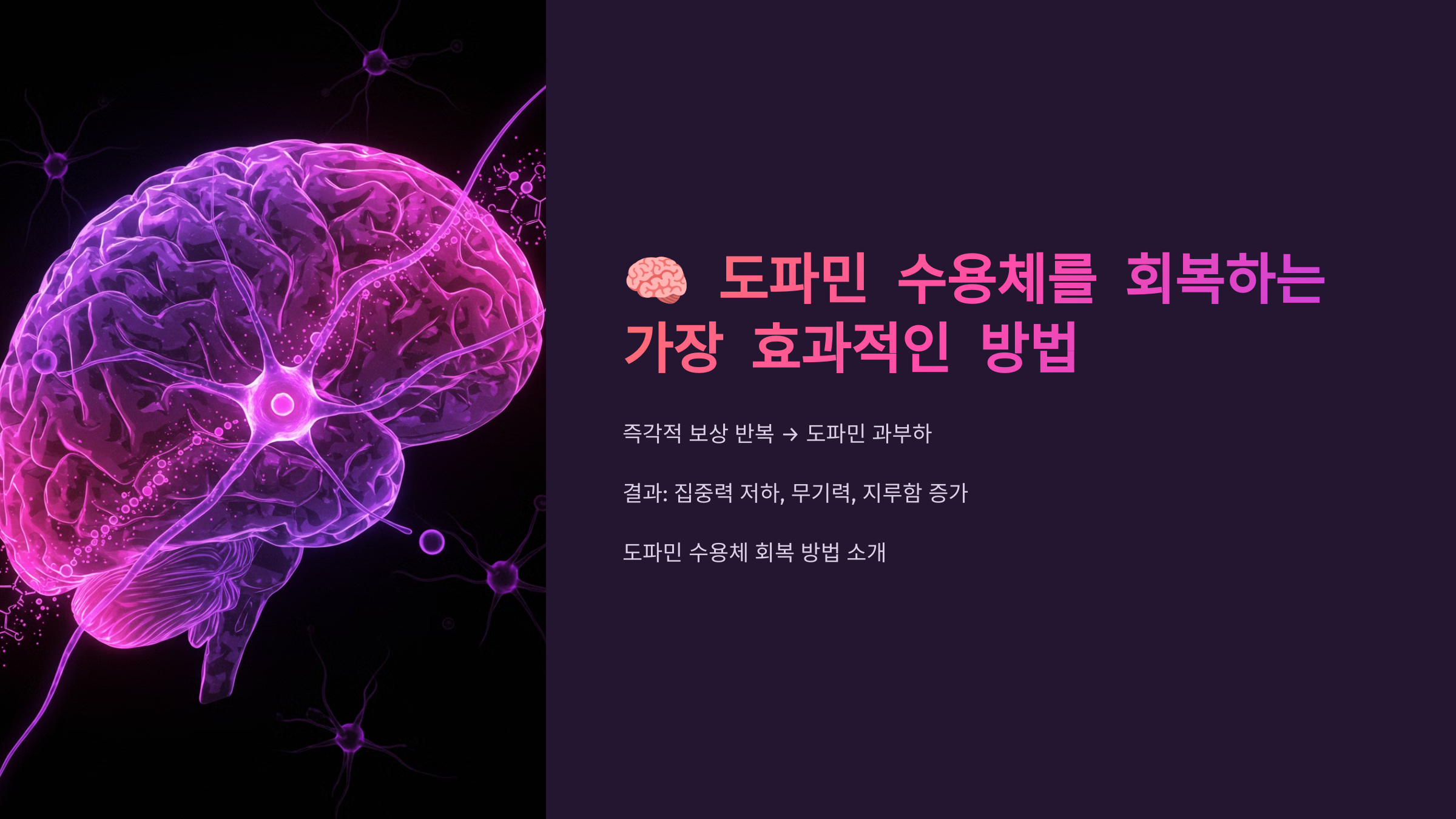도파민 수용체를 회복하는 가장 효과적인 방법