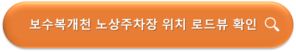 보수복개천 노상주차장 로드뷰