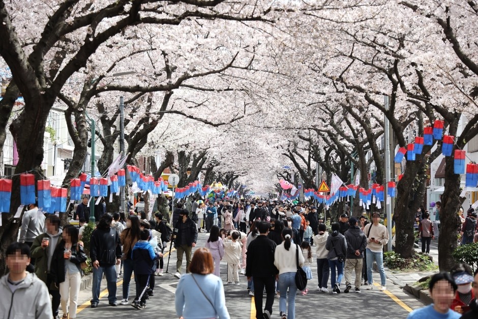 2025년 전국의 벚꽃 명소를 추천합니다-전농로벚꽃축제
