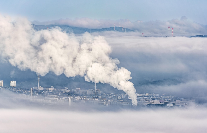 탄소배출 관리사는 실제로 어떤 일을 하는 직업일까요