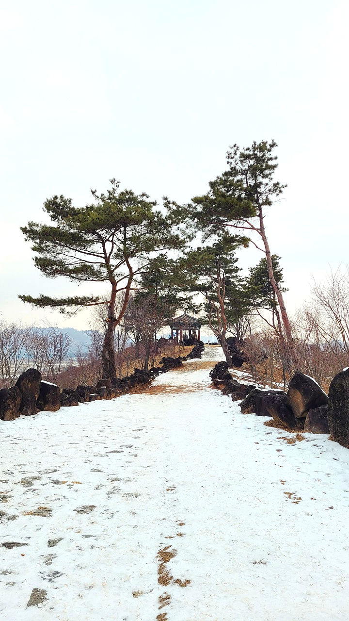 DMZ평화의길-철원코스