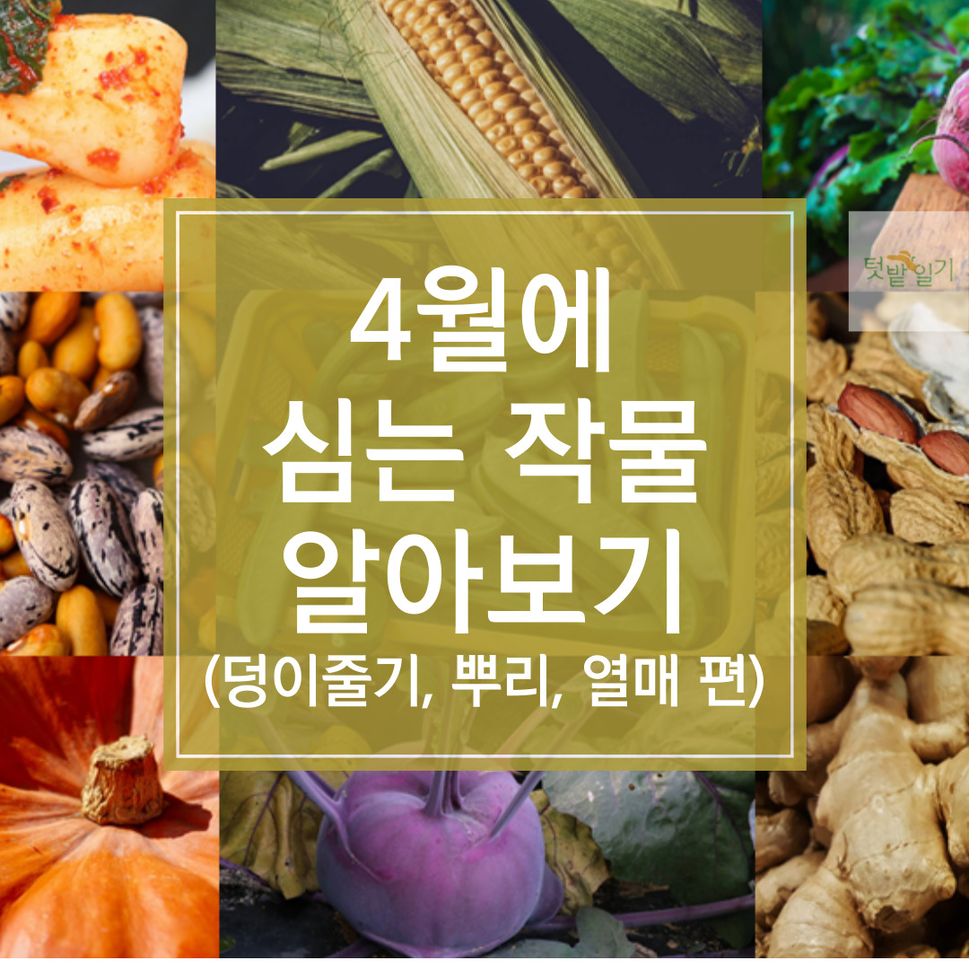 4월에 심는 작물