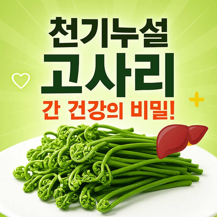 천기누설 고사리 썸네일