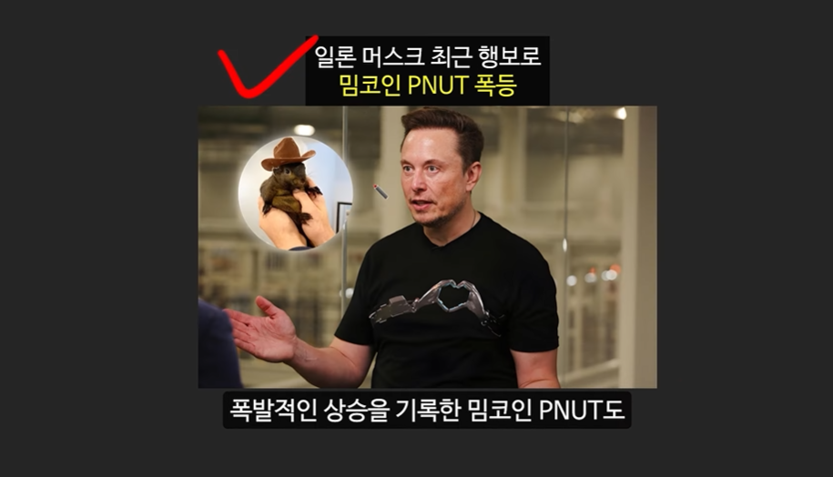 일론 머스크의 충격 발언과 도지코인, 플로키코인, 위프코인, 피넛코인, 프레드 코인의 강력한 상승 가능성 분석