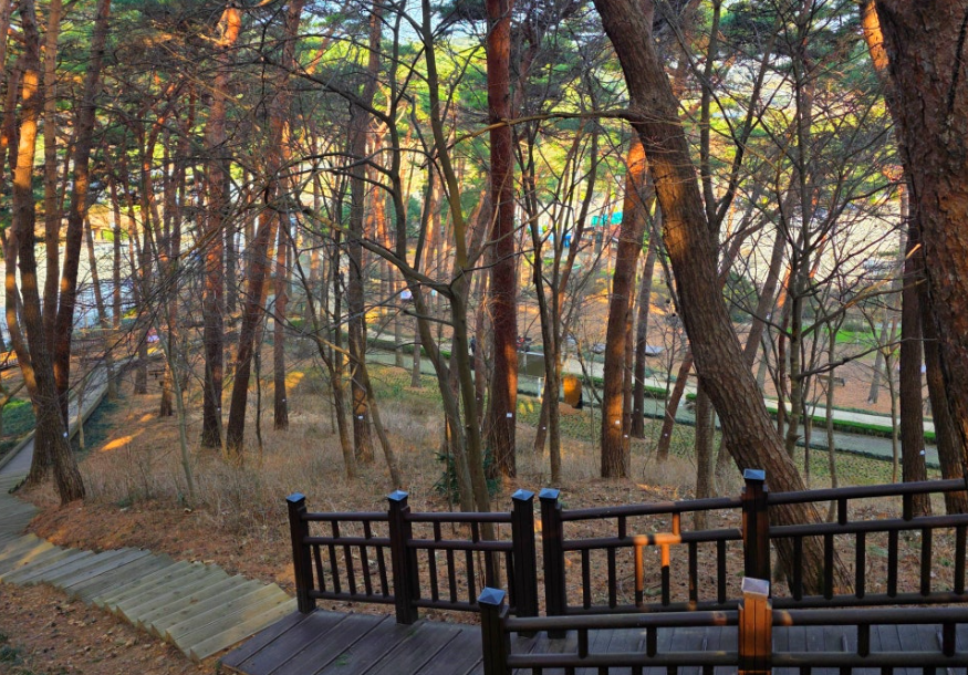 안면도자연휴양림1