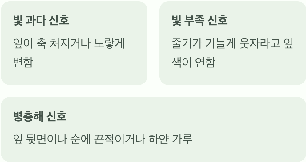 건강함의 신호, 잎사귀를 살펴보세요