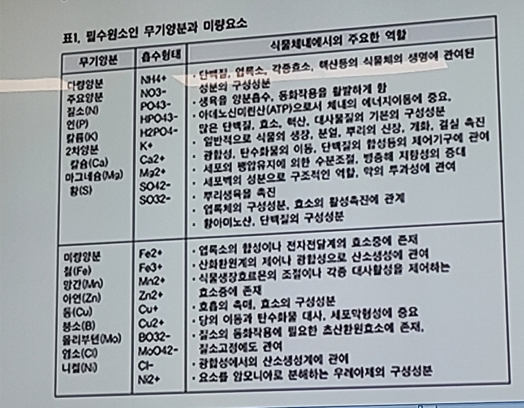 식물에게 필요한 양분