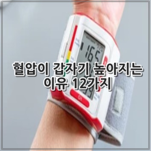 혈압이 갑자기 높아지는 이유 12가지