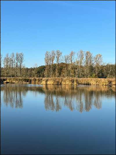 카스티용 전투와 이름 없는 포병 병사들