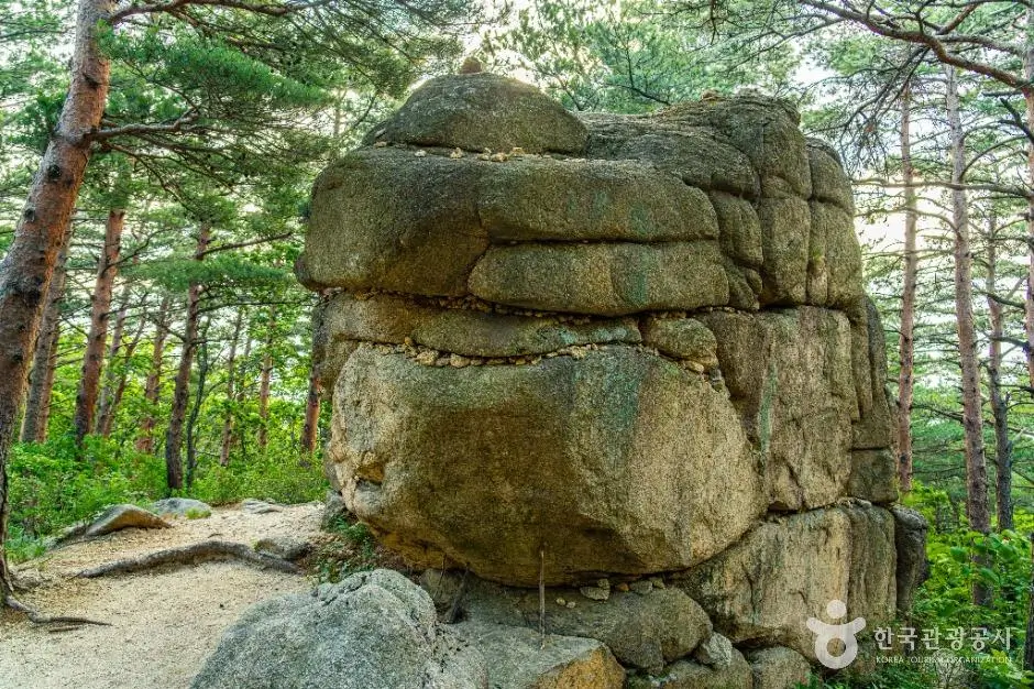 5c65fc2d-06eb-4e00-8307-d778bf20cf95