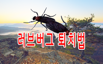 러브버그 퇴치법