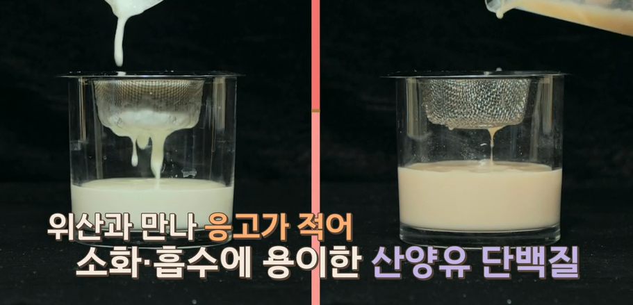 산양유 단백질 효능