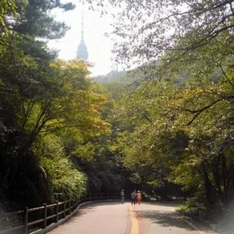 남산둘레길 코스 지도 소요시간 맛집_17