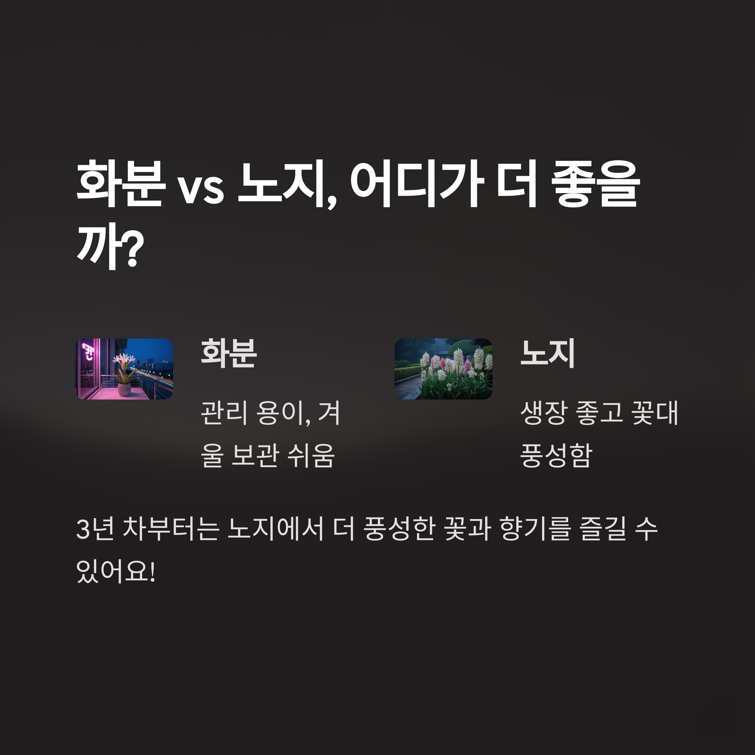 화분과 노지 중 어디가 더 좋을까?