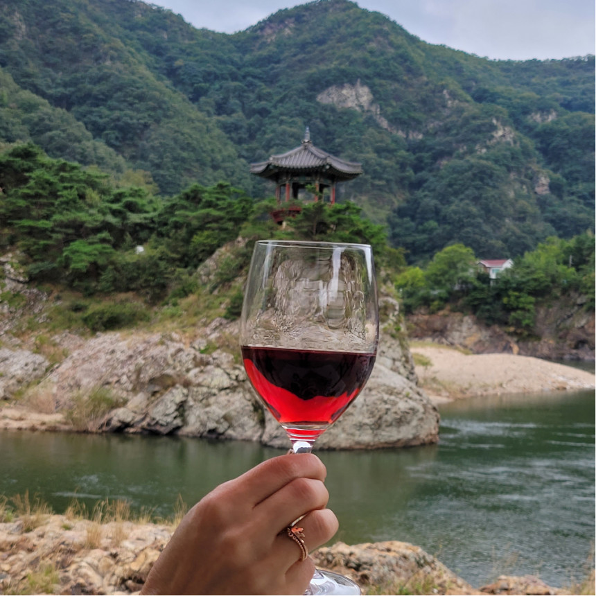 충북 영동 와인, 와이너리 카페 가볼만한 곳 추천