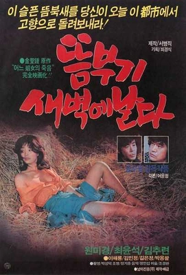 뜸부기 새벽에 날다 (1984) 포스터