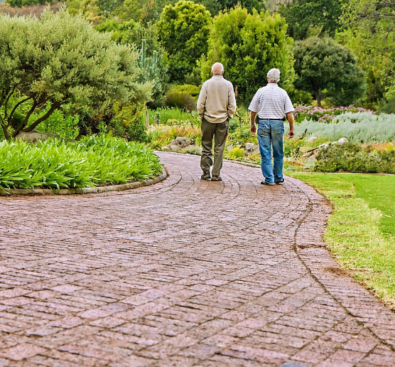 공원을 산책 중인 두 노인의 뒷모습