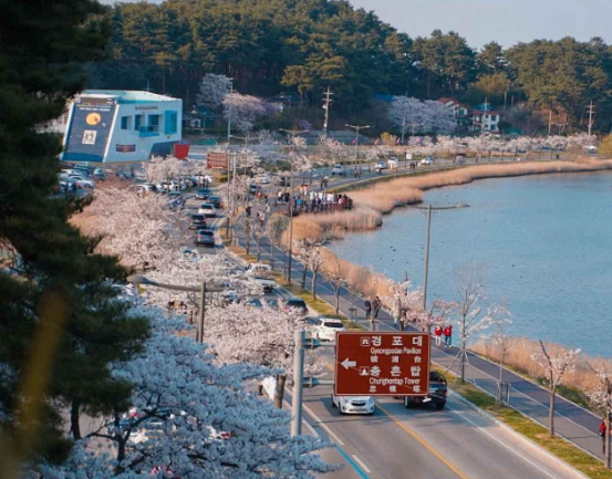 강원도 가볼만한곳 베스트10