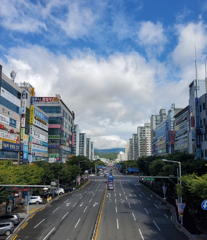 부산 태종대 수국축제