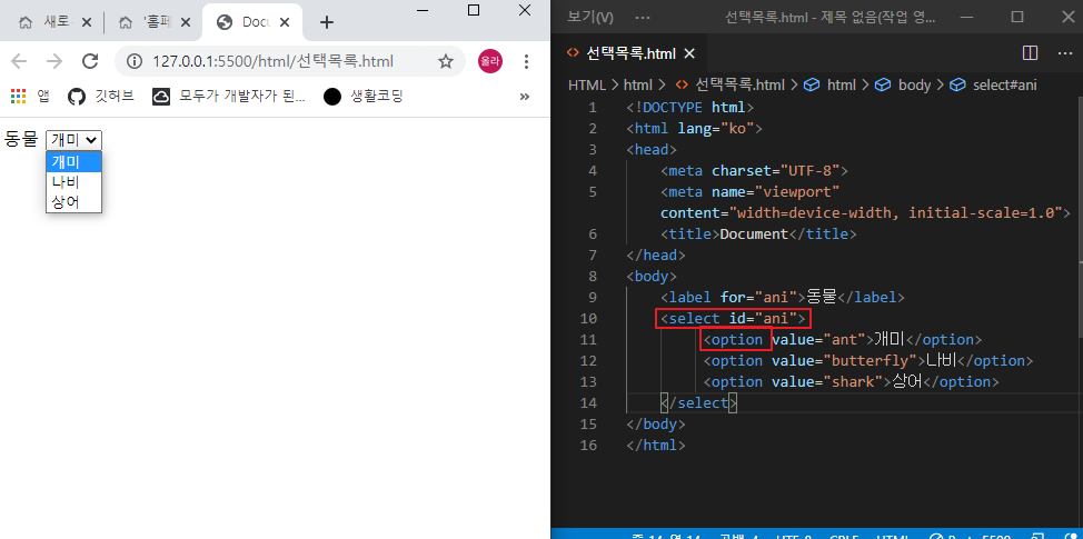 select와 option 태그 설명 이미지