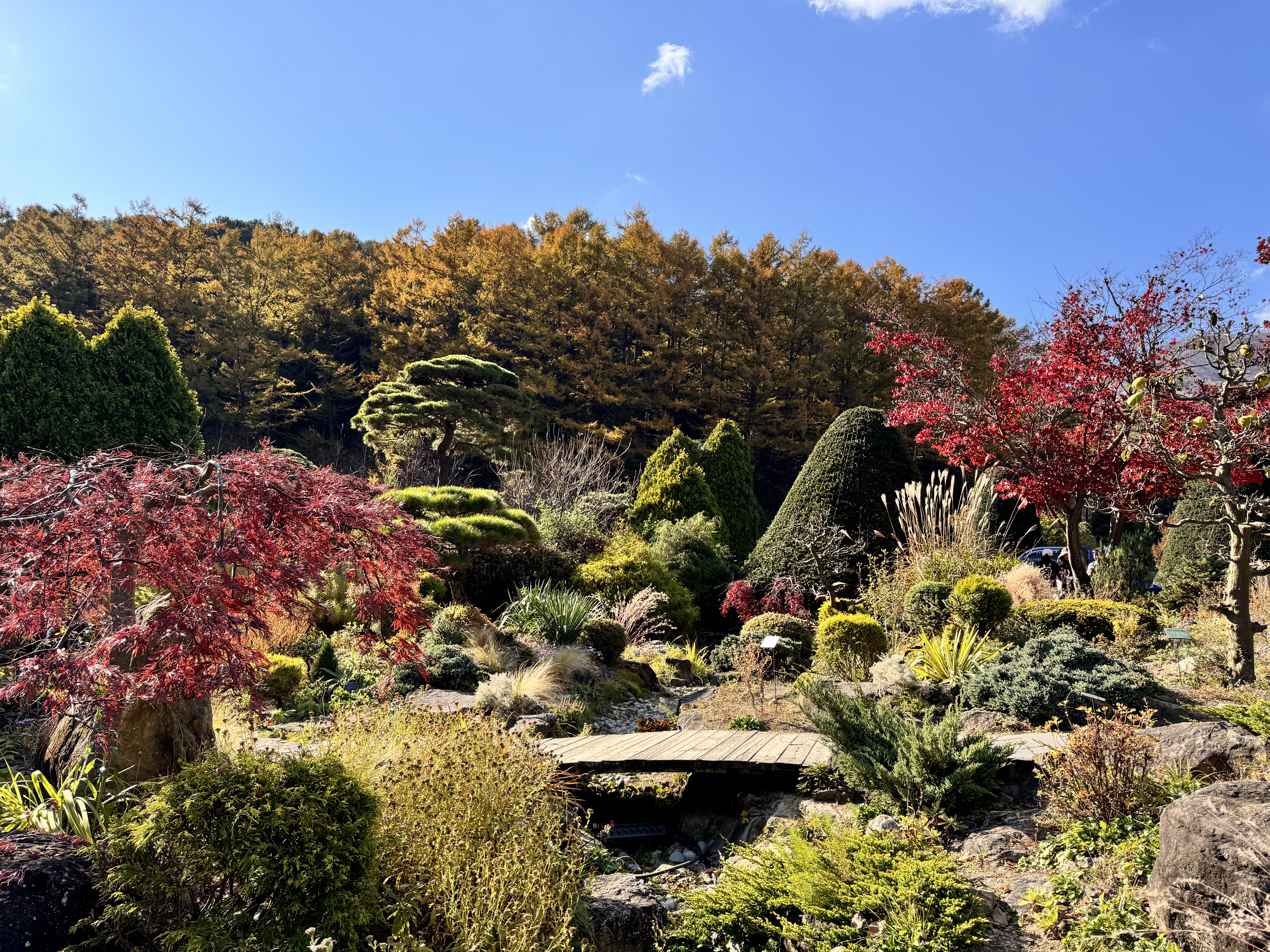 아침고요수목원 관련 사진