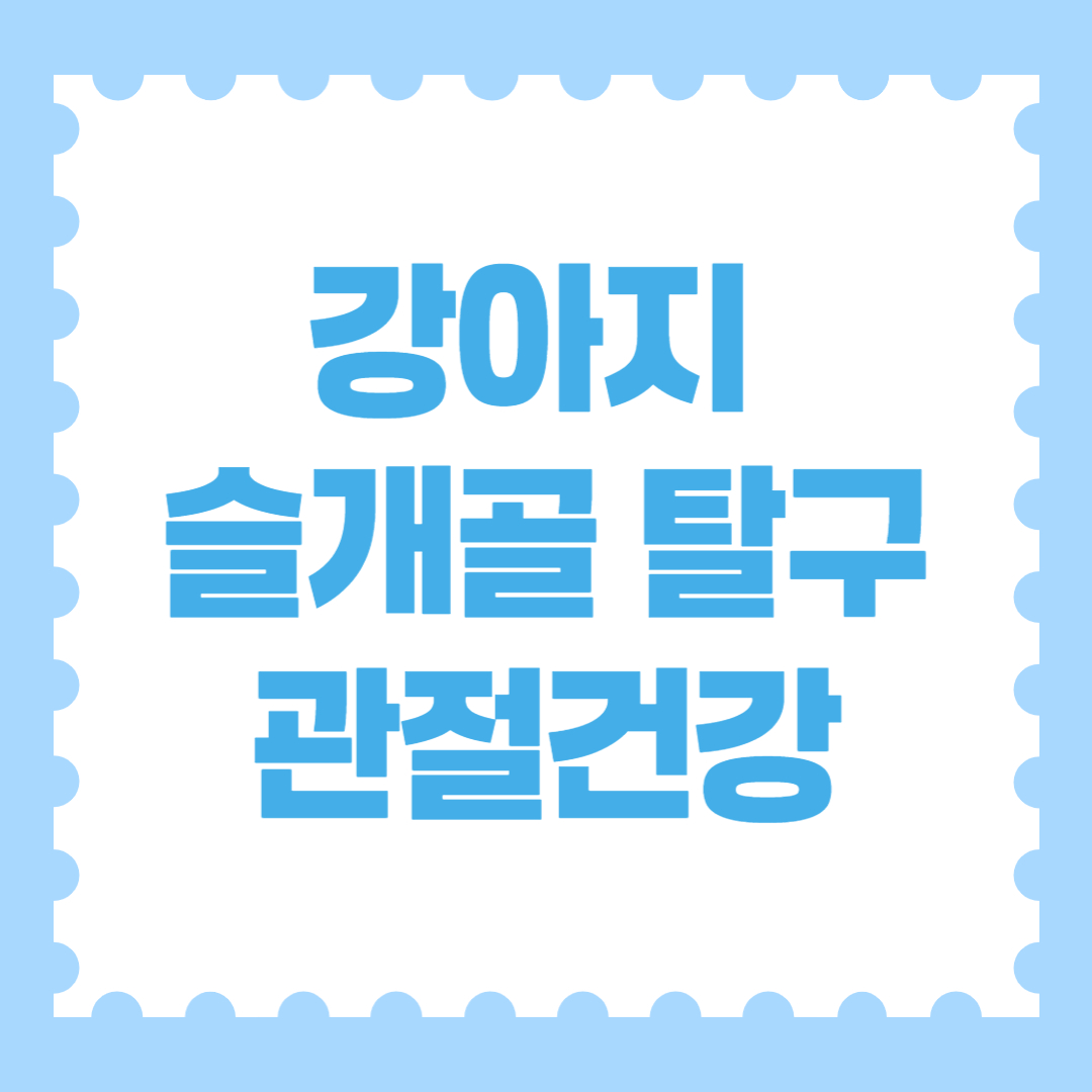 강아지 슬개골