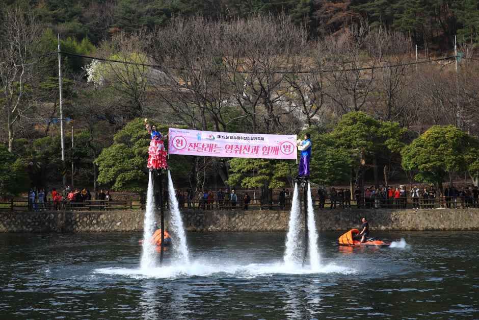 여수 영취산 진달래 축제