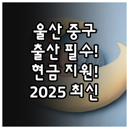 2025 울산 중구 출산 지원 정책 ..