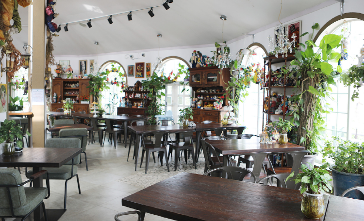 포천 허브아일랜드