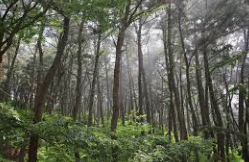 승봉도 배시간표