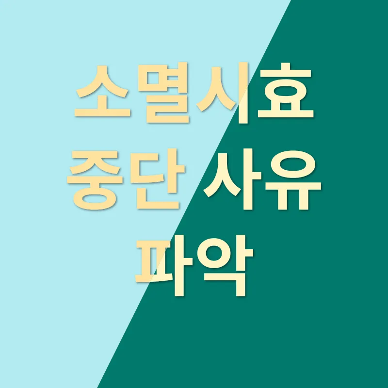 국세 체납 소멸시효_2