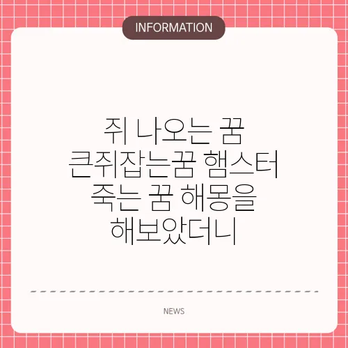 쥐 나오는 꿈 큰쥐잡는꿈 햄스터 죽는 꿈 해몽을 해보았더니