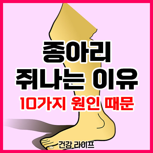 종아리 쥐나는 이유