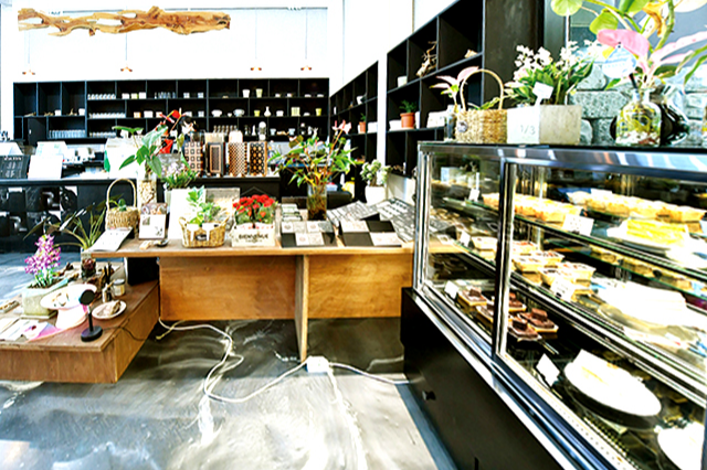 특색있고 아름다운 민간 정원 30선 추천 여행 - 25. 통영 동백커피식물원