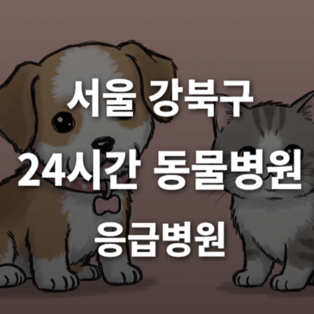 [서울 강북구 24시간 동물병원(수유동, 미아)] 반려동물 응급상황 대처 가능한 진료소