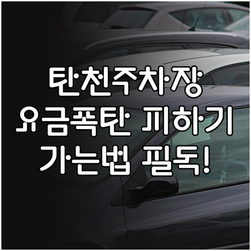 탄천 공영주차장에서 종합운동장 가는 ..