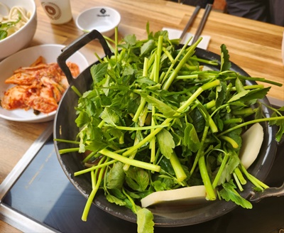 등촌샤브칼국수호평미나리