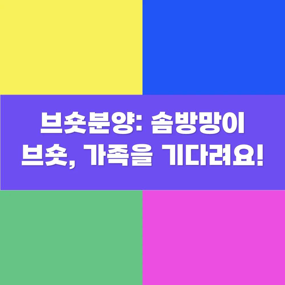 썸네일 이미지