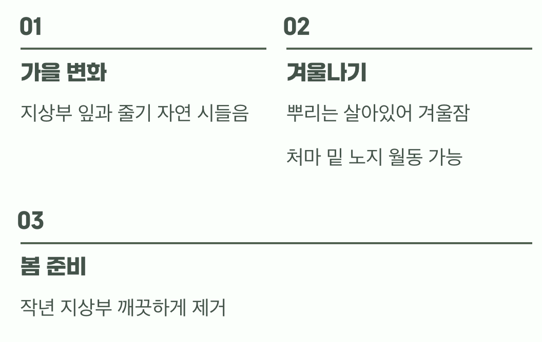 다음 해의 꽃을 위한 준비