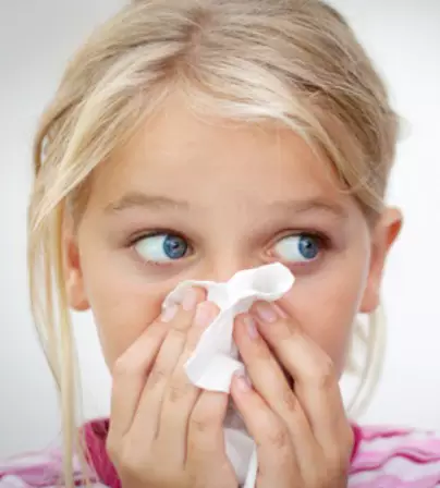 독감-증상-종류-건강