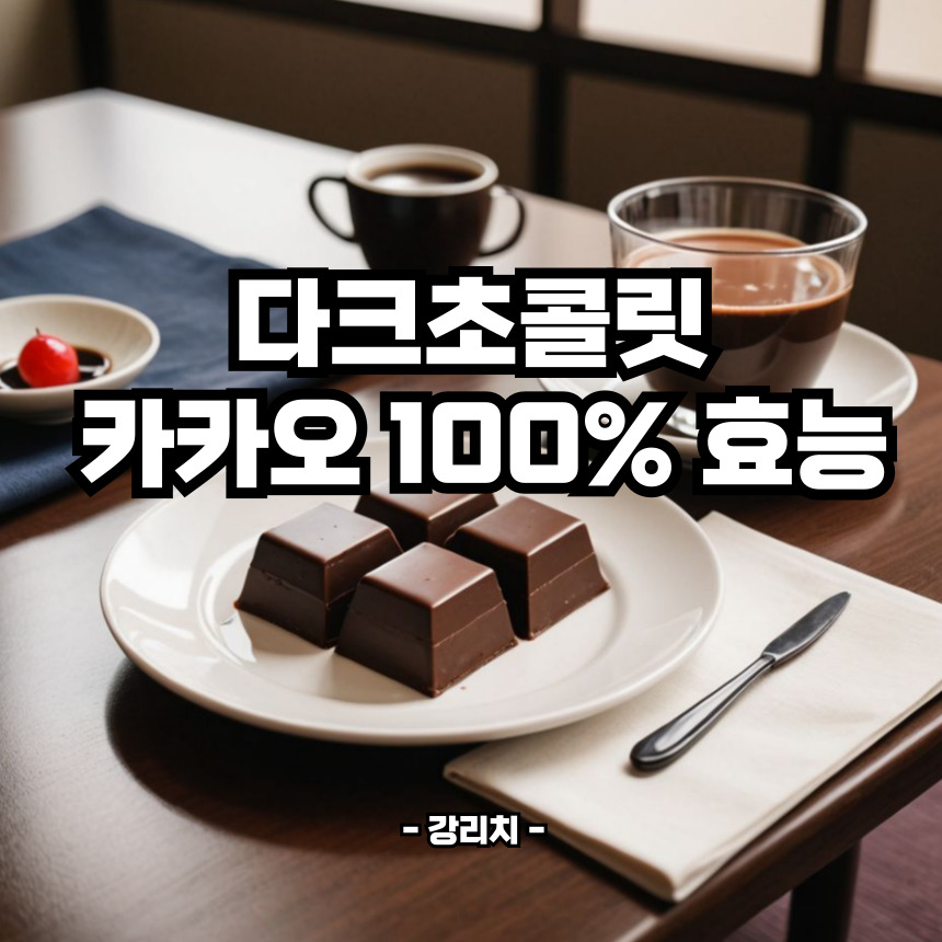 다크초콜릿 효능
