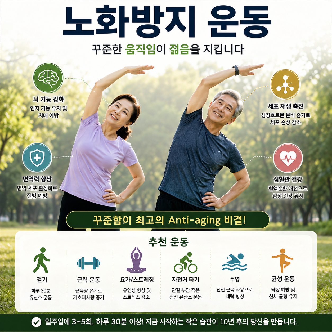노화방지 운동