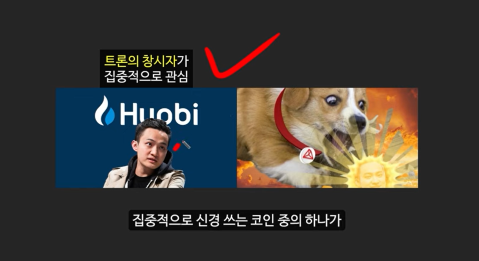 베이비 도지 코인의 급등 이유와 일론 머스크의 영향 ❘ 밈 코인 시장 전망