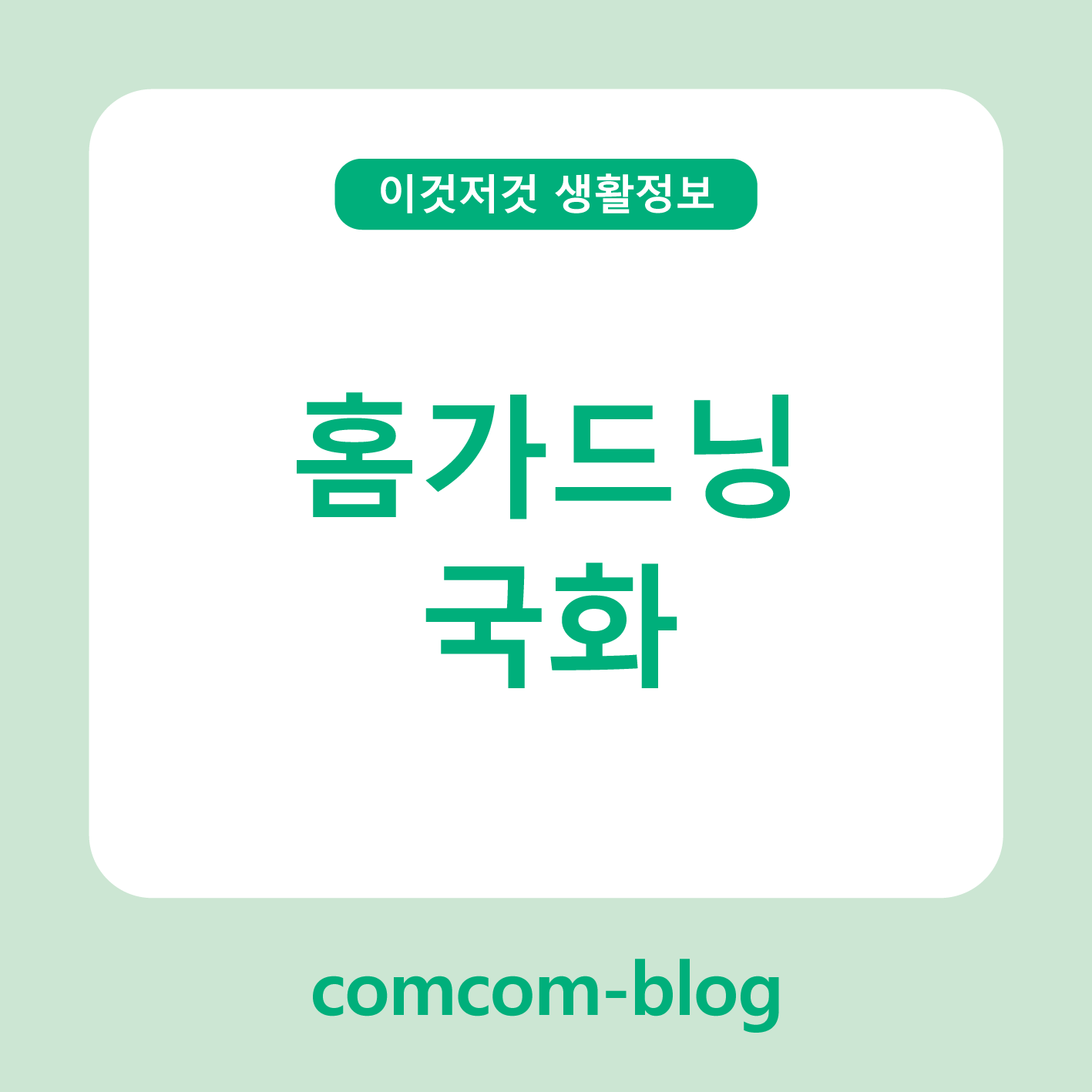 🌼 집 안을 환하게 물들이는 홈가드닝 국화 키우기